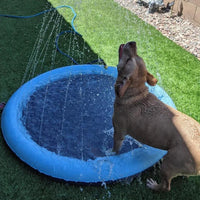 HugoPaws™ - Piscina Per Cani