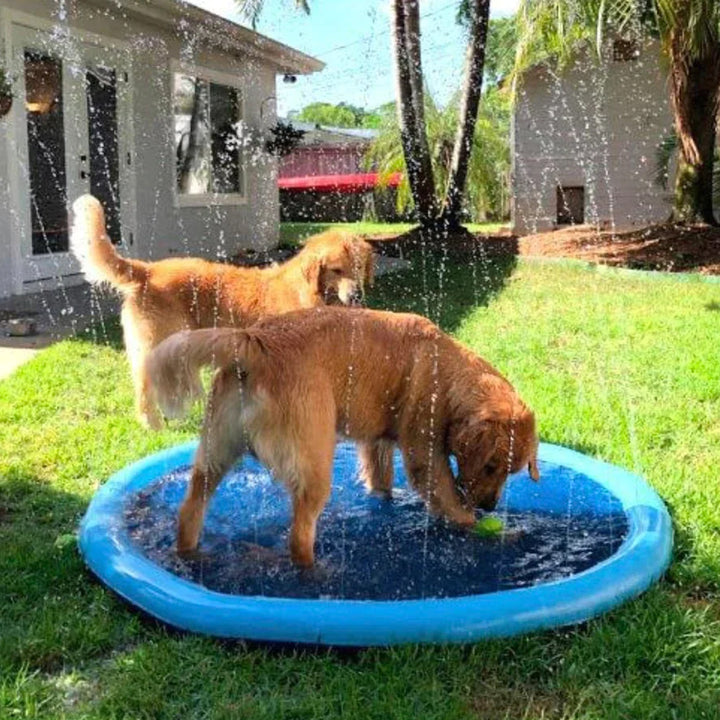 HugoPaws™ - Piscina Per Cani