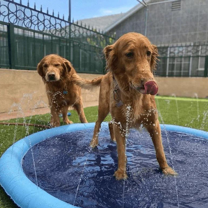 HugoPaws™ - Piscina Per Cani